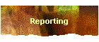 Reporting