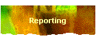 Reporting